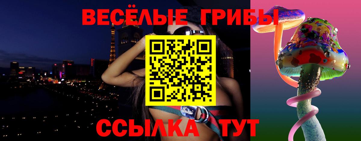 Псилоцибиновые грибы GOLDEN TEACHER  Вход с VPN  Ирбит 